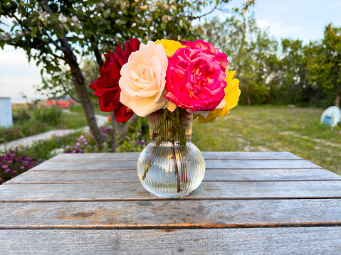 Variation or group of garden roses flowers in small vases or bottles