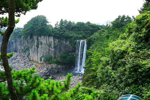 This is the beautiful scenery of Jeongbang Falls, a famous tourist attraction in Jeju Island.