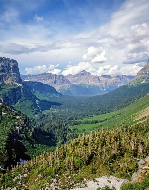 View of a Valley in Glacier National Park, Montana