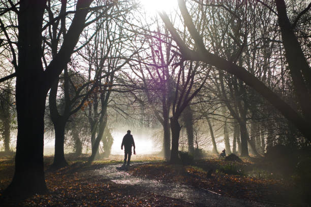istock silhouette of a man walking his dog 1499926630