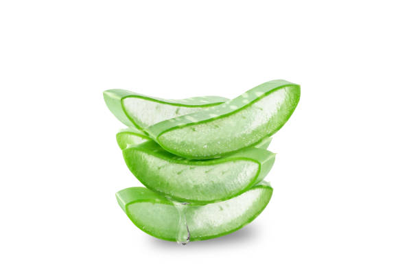 istock Aloe vera with gel dripping. 1499932935