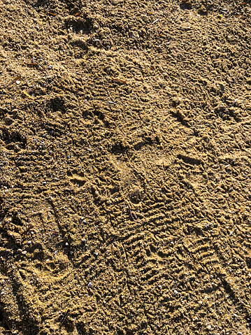 Footprint on Beach