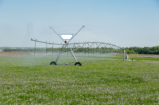 Center pivot crop irrigation or irrigating system for farm management. High quality photo