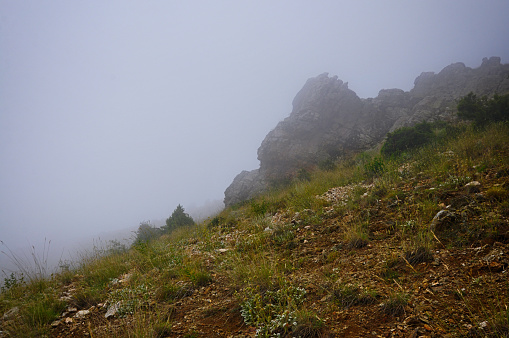 Misty foggy view at the mountain in Bozdaglar, Salihli, Manisa, Turkey. 06/19/2018