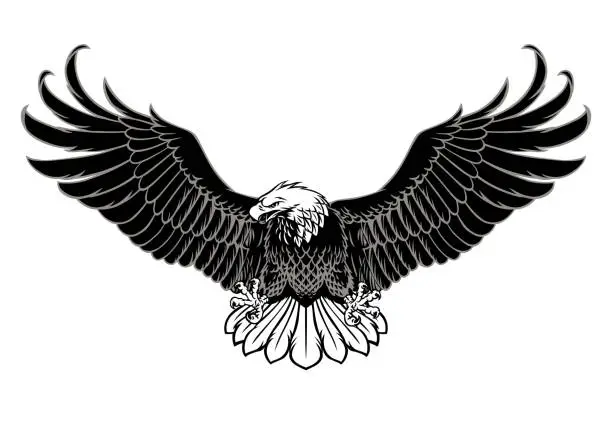 Vector illustration of Spreading the wings of the Bald Eagle in monochrome Style