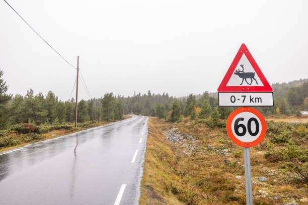 elchüberquerungsschild in norwegen - moose crossing sign stock-fotos und bilder