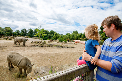Cute adorable toddler girl and father watching wild rhinos in zoo. Happy baby child, daughter and dad, family having fun together with animals safari park on warm summer day. Ireland.
