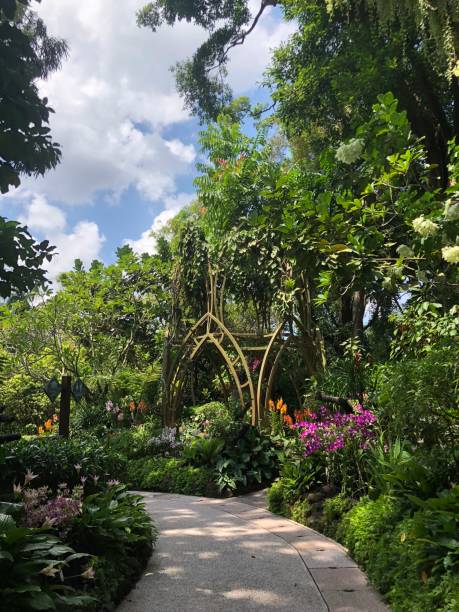 istock Nature view in Singapore Botanic Gardens 1499942512