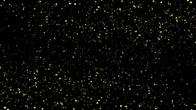 3D animation. Natural Organic Dust Particles Floating On Black Background. Dynamic Dust Particles Randomly Float In Space With Slow Motion. Shimmering Glittering Particles With Bokeh