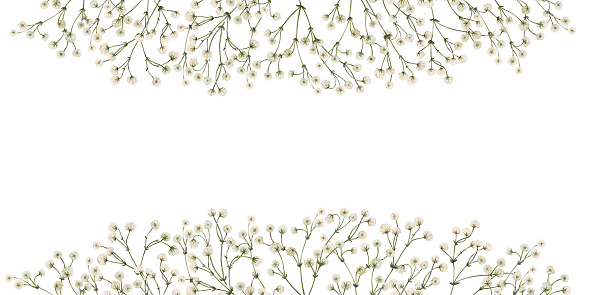 Frame design with watercolor white gypsophila flowers. Botanical flower illustration for postcards, greetings, invitations, banners with white empty space for your text.
