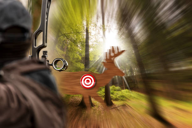 An archer, with his compound bow (hunting bow) aims at a silhouette of a fake wooden deer in the woods.