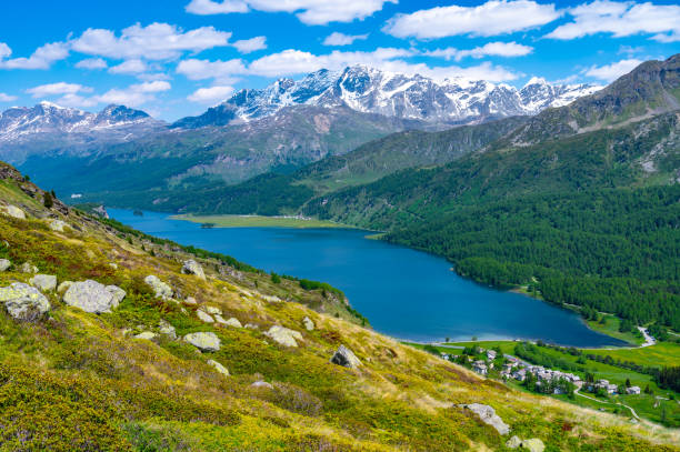 View of the Engadin and Lake Silvaplana. A view of Lake Silvaplana and the Engadine from above. Maloja pass. engadine stock pictures, royalty-free photos & images