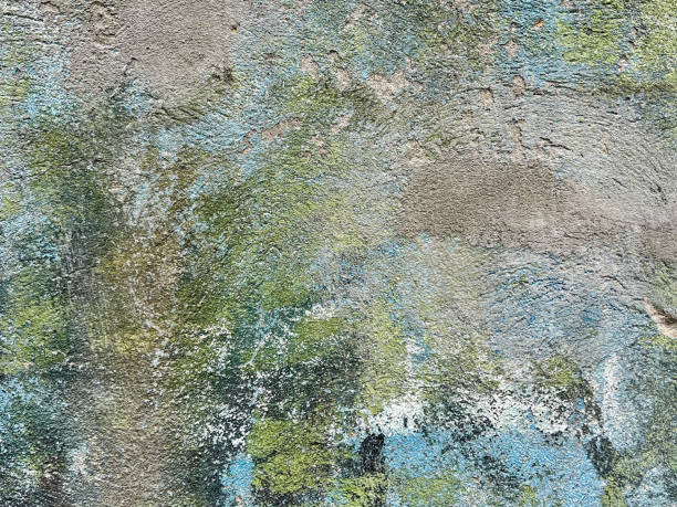 Old wall is covered with green mold and remnants of blue paint