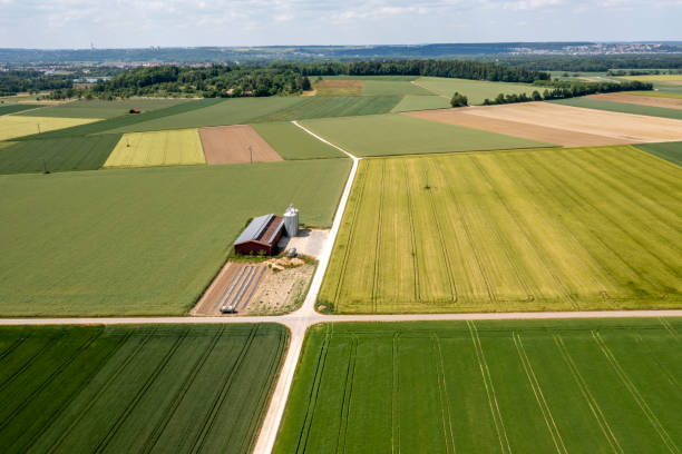 istock Agricultural landscape with a barn 1499953387
