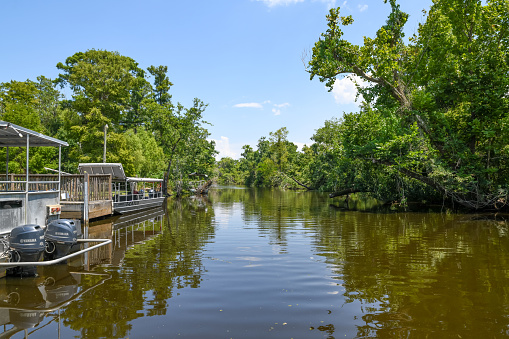 Laplace, LA, USA. 8 June 2023. Louisiana Swamp Tour Boats