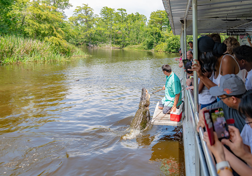 Aquidauana, Mato Grosso do Sul, Brazil: Guided boat tour on the Rio Aquidauana in the Pantanal