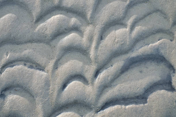 波によって作られた砂の構造。干潮時に地上を眺める。自然写真 - wave sea water surface surface level ストックフォトと画像