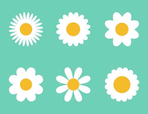 Set of cute flowers icon on green background. Easily editable line art. Vector design stock.