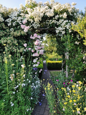 A summer garden with a rose arch