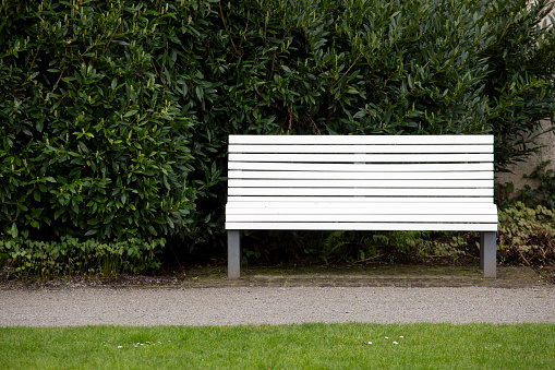 White bench in the park 