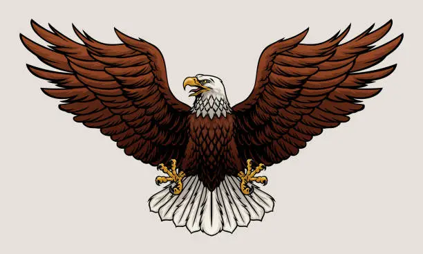 Vector illustration of Bald Eagle Spread the Wing Vector Illustration