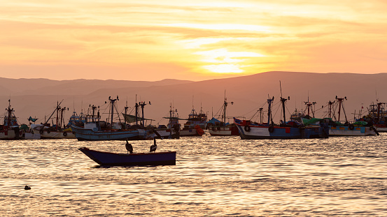 Sunset at the fishing port in the nature reserve of Paracas Peru, group of fishing boats
