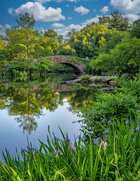 Gapstow Bridge in Central Park