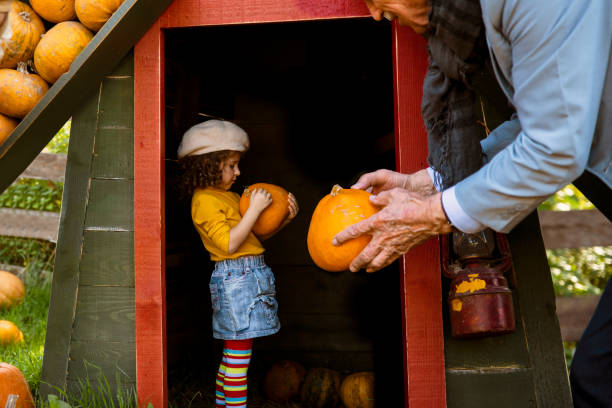 istock Choosing the right pumpkin for the Holiday 1499970180