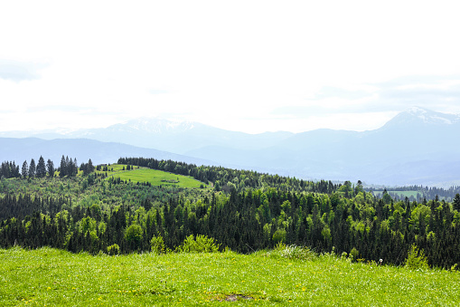 Mountain landscape on sunny summer day. Carpathian mountains.