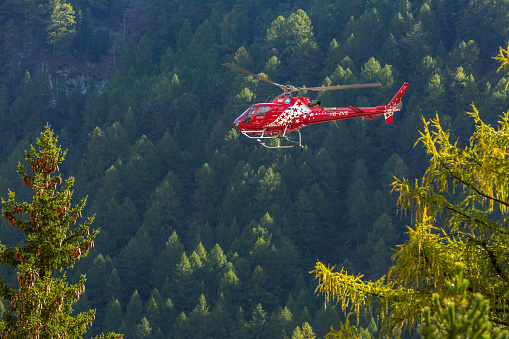 Zermatt, Switzerland - October 7, 2019: Zermatt air red helicopter and pine trees