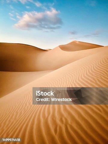 istock a sandy dune with the desert at the edge of it 1499974418