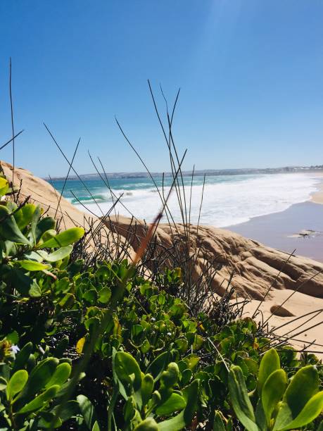istock Middleton Beach South Australia 1499976424