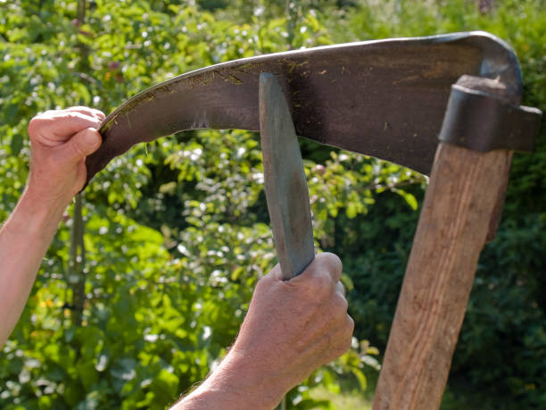 istock 77-year-old man sharpens a scythe, southern Germany 1499976833