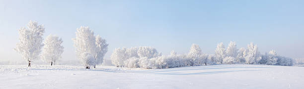 panorama de inverno bonito com árvores cobertas pela hoarfrost - panoramic scenics landscape horizon imagens e fotografias de stock
