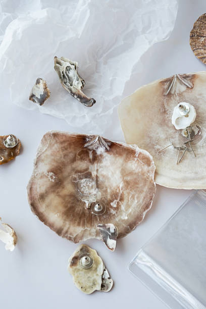 istock Handmade seashell earrings and tools for creating. Craft jewelry from natural material. 1499978121