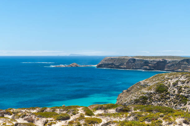 istock Innes National Park coastline, SA 1499980648