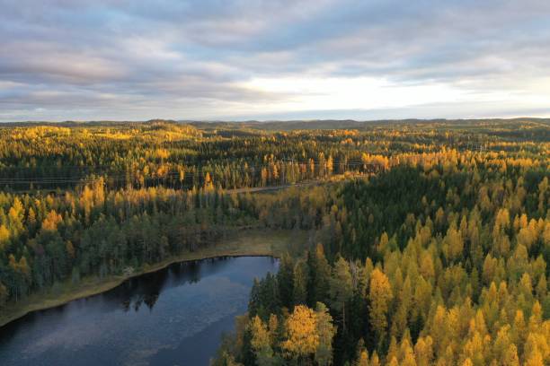 Finland lake nature landscape forest wilderness autumn stock photo