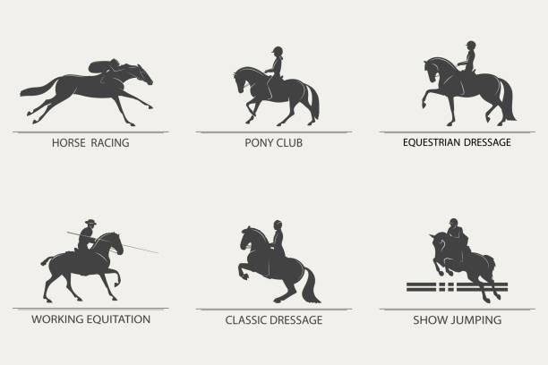 승마 스포츠를 주제로 한 아이콘 세트 - horse show jumping jumping performance stock illustrations