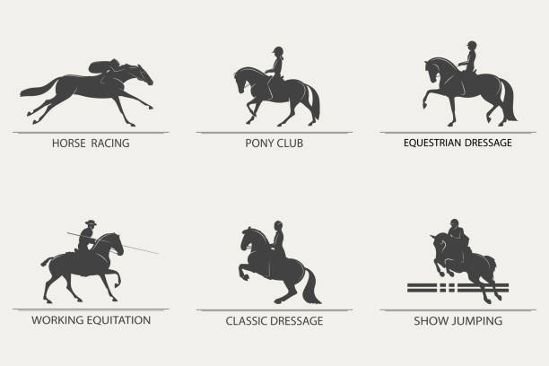ilustrações, clipart, desenhos animados e ícones de conjunto de ícones sobre o tema dos esportes equestres - hurdling hurdle vector silhouette