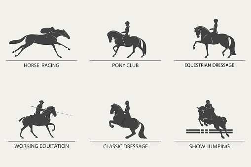 Set of icons on the theme of equestrian sports