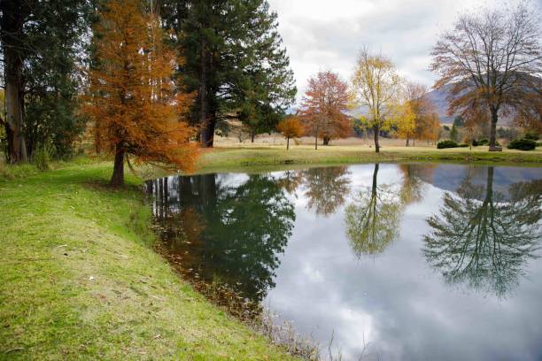 istock Tranquil Autumn Scene: Reflections on Water with Beautiful Trees Surrounding Pond. 1499992978