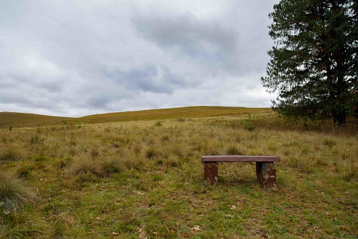 A tranquil grassland with a blue sky and clouds.