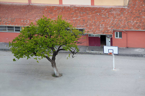 tree building and basketball field in ankara turkey