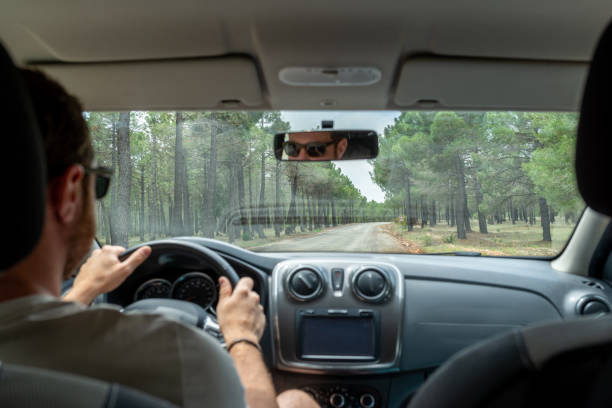 istock View of a blurred man driving a car on a road through pine forest. 1500000249
