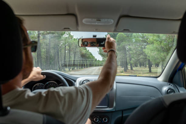 istock View of a blurred man adjusting rear view mirror while driving on a road through pine forest. 1500000251