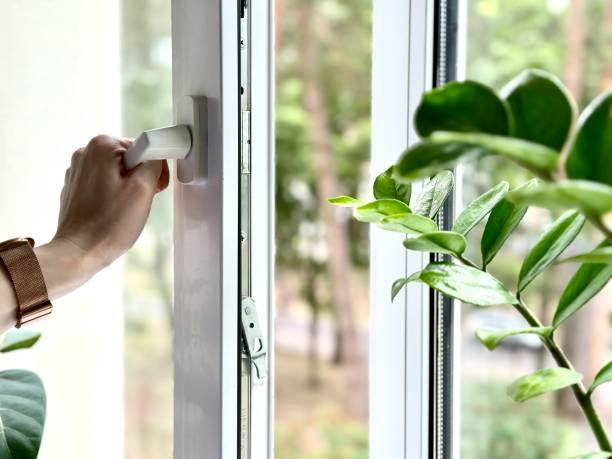 20,000+ Free Open Window & Window Images - Pixabay