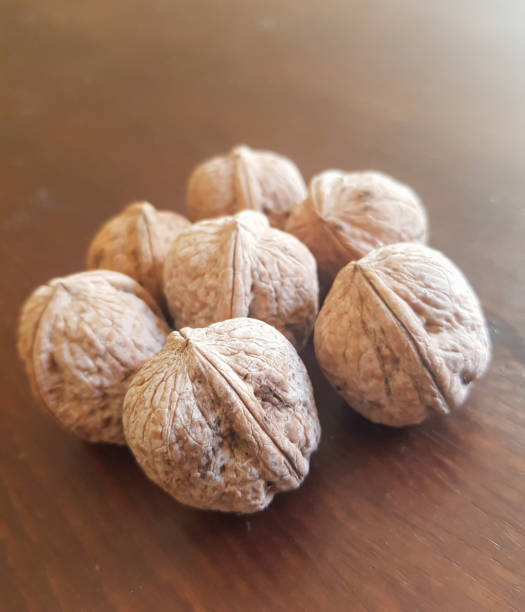 istock Navigating the world of walnut seeds 1500009972