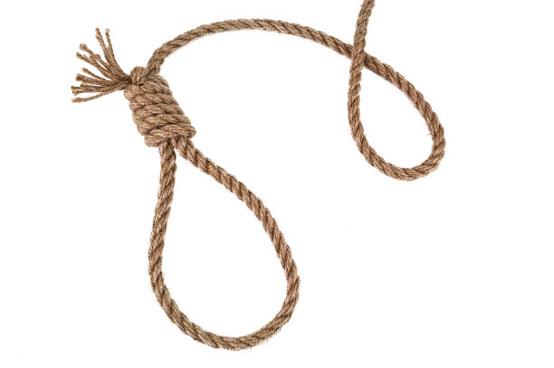 Rope noose for hangman, suicide made of natural fiber rope isolate on white background. Hemp rope noose for homicide or commit suicide concept Rope noose isolated on white, a loop of rope for hanging hangman stock pictures, royalty-free photos & images