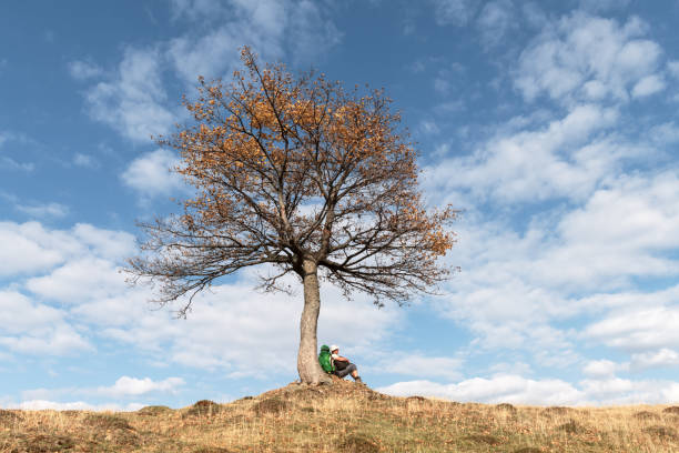 A man sitting under the tree and thinking. Lone tree and a human sitting on the grass.