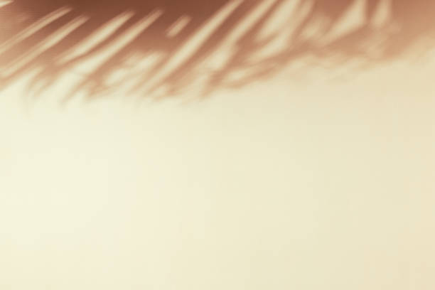 istock Palm leaf shadow on a beige wall. Minimal summer exotic concept with copy space 1500015596